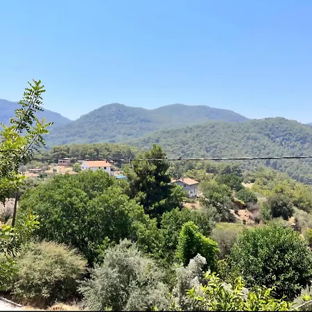 Kozalak Evleri *